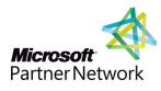 2011 Microsoft Partner