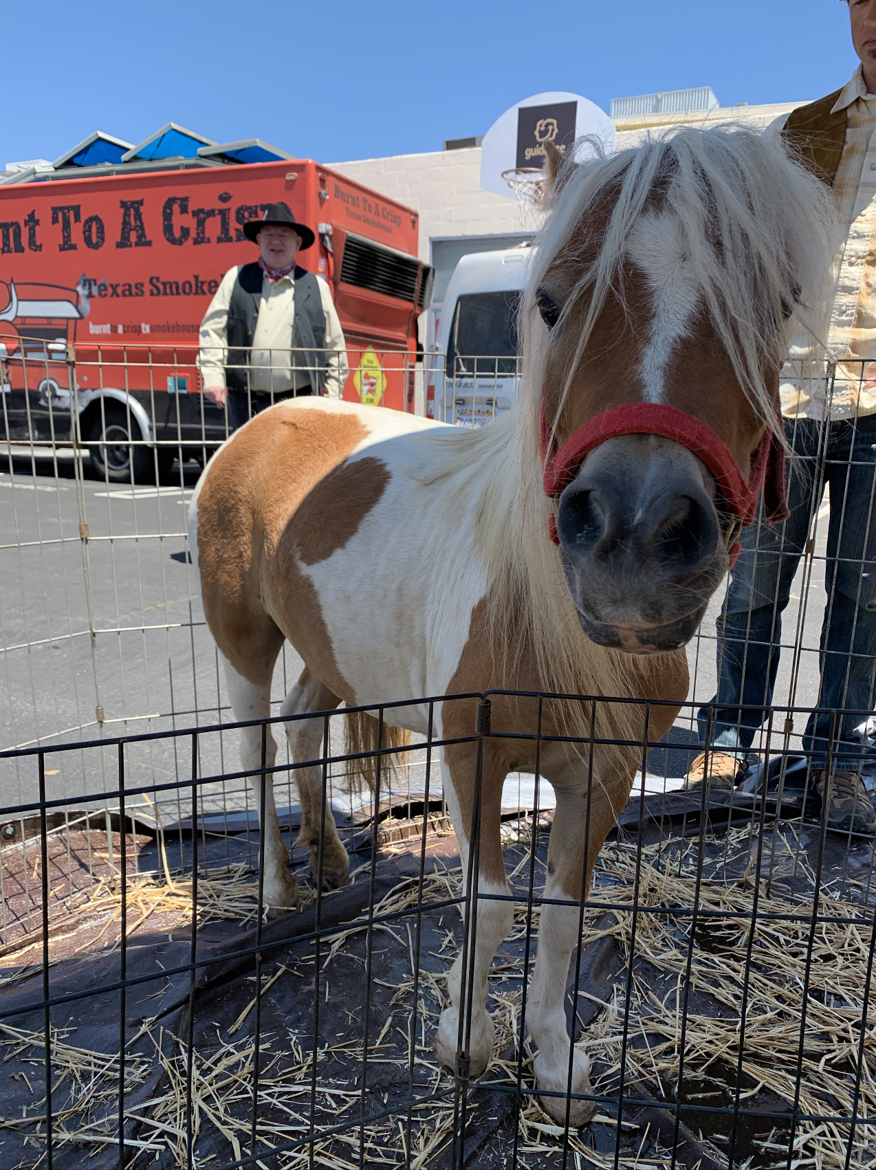 Screen Shot 2020-12-02 at 2.56.41 PM