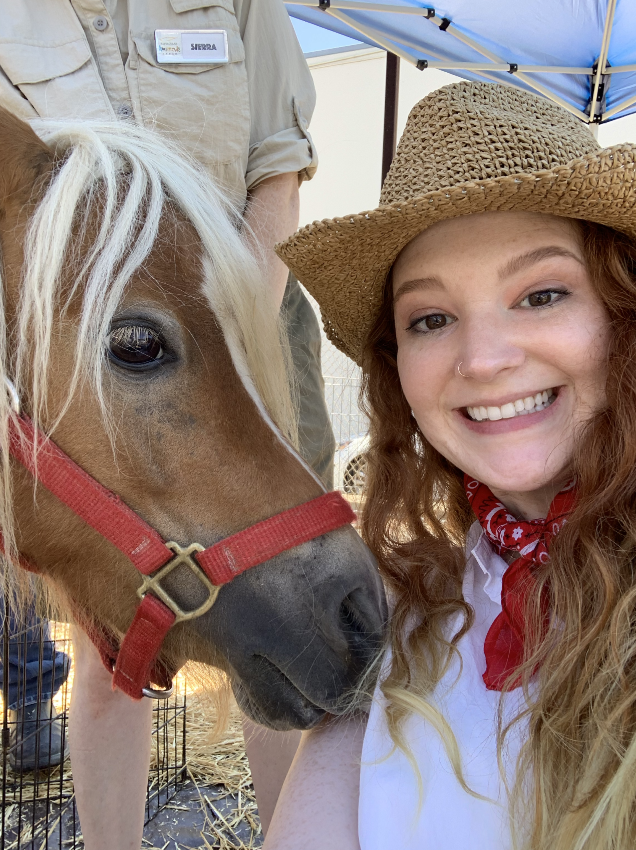 Screen Shot 2020-12-02 at 2.56.54 PM