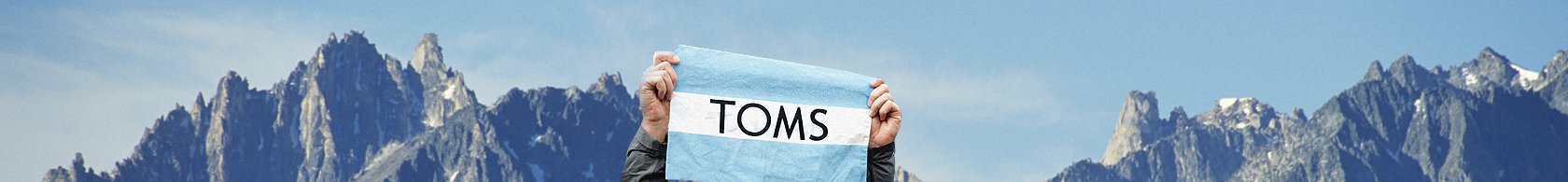 WorkHeader_1680x195_TOMS